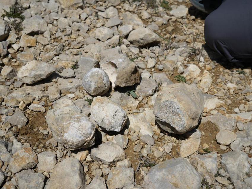 Ilgaz Dağı zirvesinde şaşırtan keşif: Karadeniz'e 90 kilometre uzakta! Bir zamanlar denizin dibindeydi