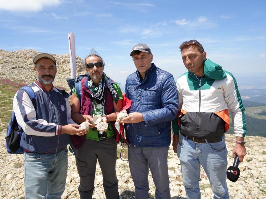 Ilgaz Dağı zirvesinde şaşırtan keşif: Karadeniz'e 90 kilometre uzakta! Bir zamanlar denizin dibindeydi
