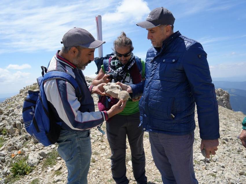 Ilgaz Dağı zirvesinde şaşırtan keşif: Karadeniz'e 90 kilometre uzakta! Bir zamanlar denizin dibindeydi