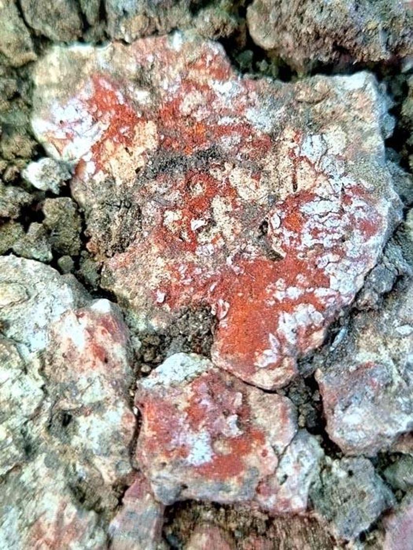 Diyarbakır Çayönü Tepesi'nde 9 bin 500 yıllık 'kamusal yapı' gün yüzüne çıkarıldı