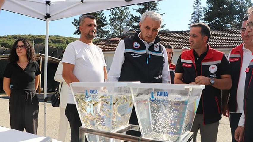 Bolu'da tanıtımı yapıldı en çok Elazığ'da üretiliyor! Kilosu 1000 avroya satılıyor; bu balığı besleyen zengin olur