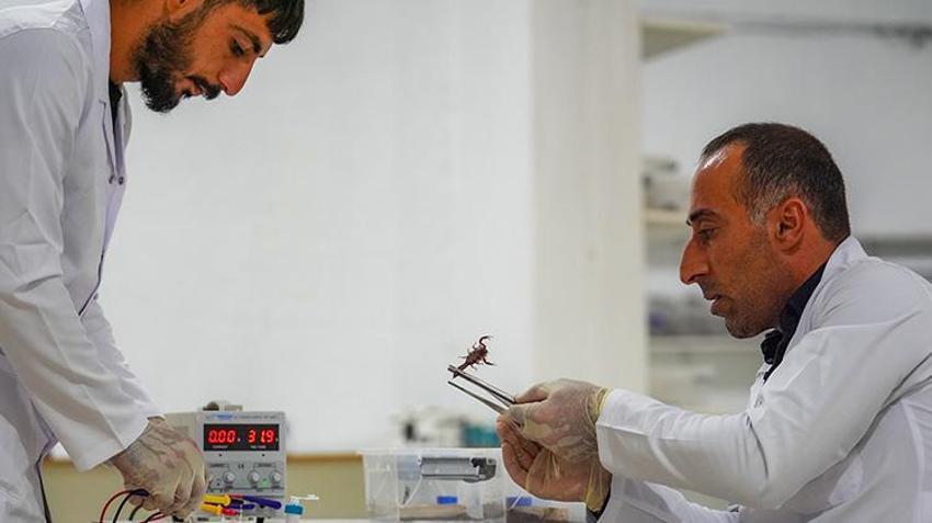 Diyarbakırlı girişimci akreplere yatırım yaptı! 1 gramı 12 bin dolara satılıyor: O belgeseli izledikten sonra harekete geçti
