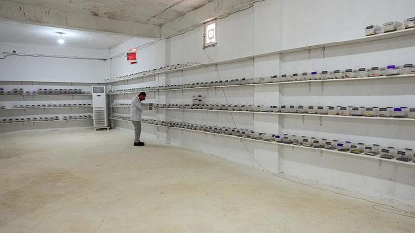 Diyarbakırlı girişimci akreplere yatırım yaptı! 1 gramı 12 bin dolara satılıyor: O belgeseli izledikten sonra harekete geçti