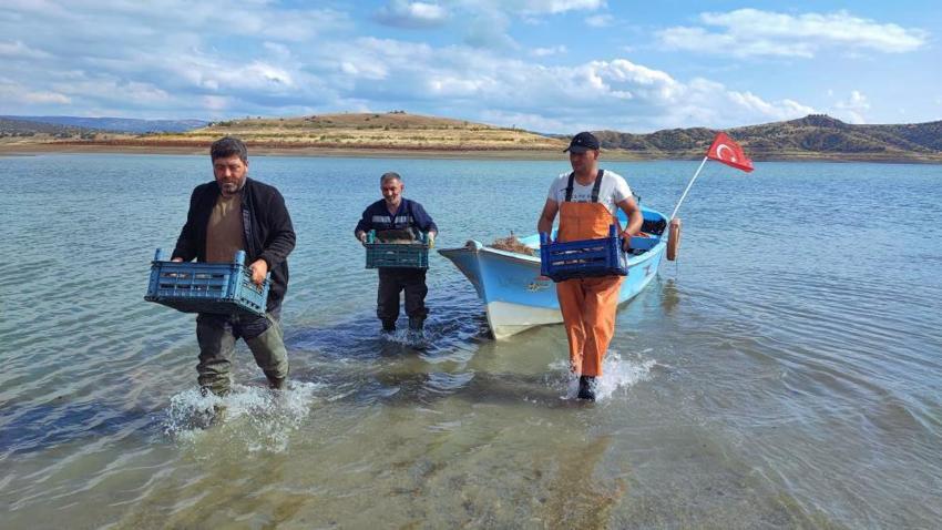 Kuraklık balıkçılığı vurdu! Yozgat'ta bir zamanlar ihraç edilen sazanlar iç piyasaya sürülmeye başlandı