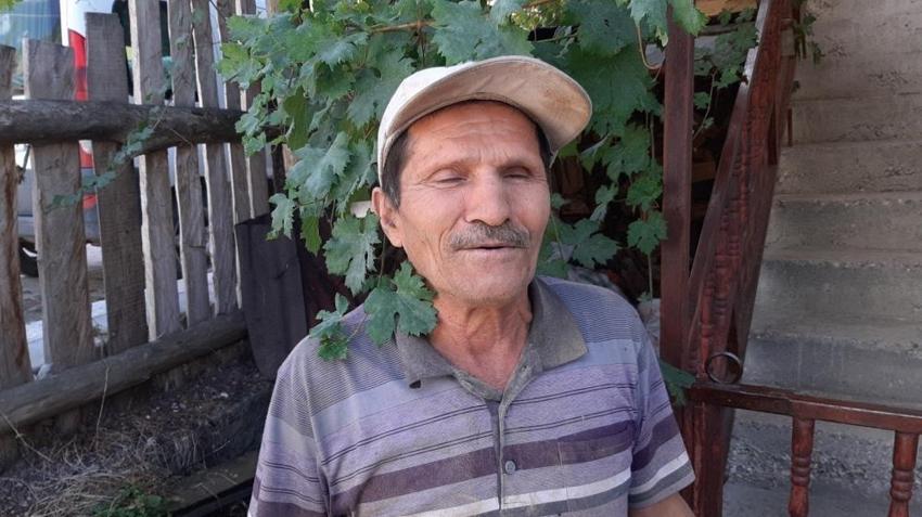 Bolu'da kabus sürüyor: Düzenekle ayı kovalıyorlar