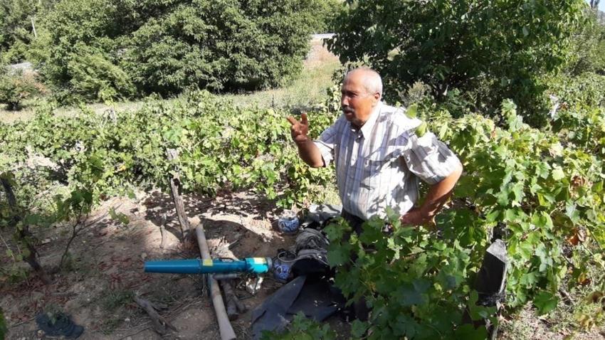 Bolu'da kabus sürüyor: Düzenekle ayı kovalıyorlar