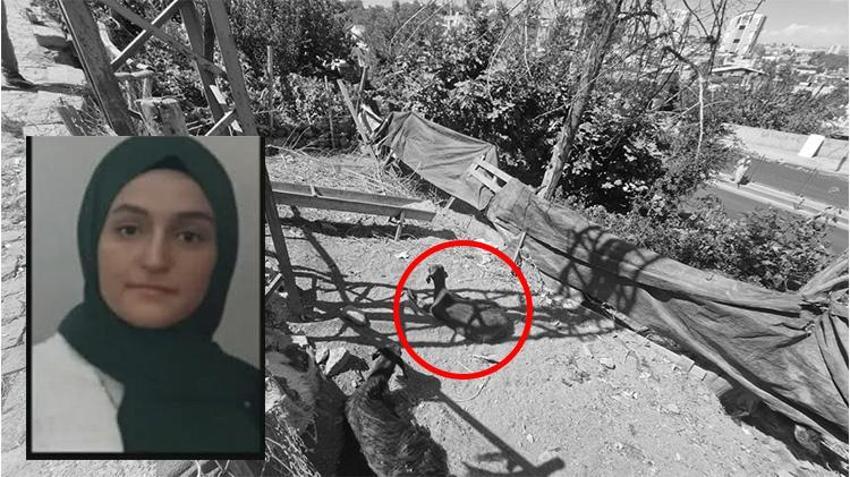 Diyarbakır'da korkunç ölüm! Yerde yatan keçiyi kaldırmak için dokundu canından oldu