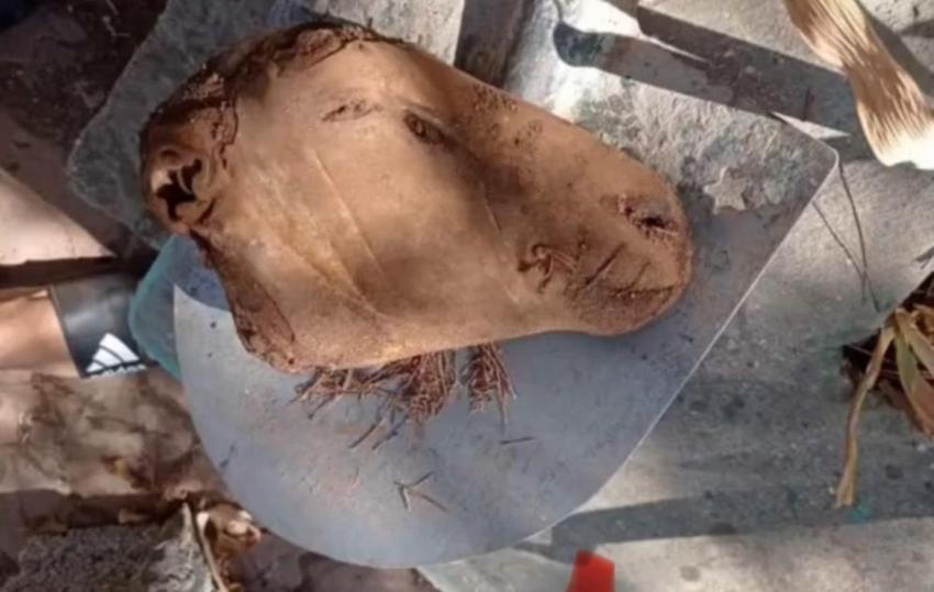 Diyarbakır'da kazmayı vurunca mezardan fışkırdı! Yüzlerce var, her gördüğünde donup kalkıyor