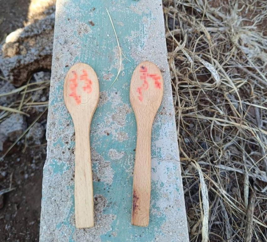 Diyarbakır'da kazmayı vurunca mezardan fışkırdı! Yüzlerce var, her gördüğünde donup kalkıyor