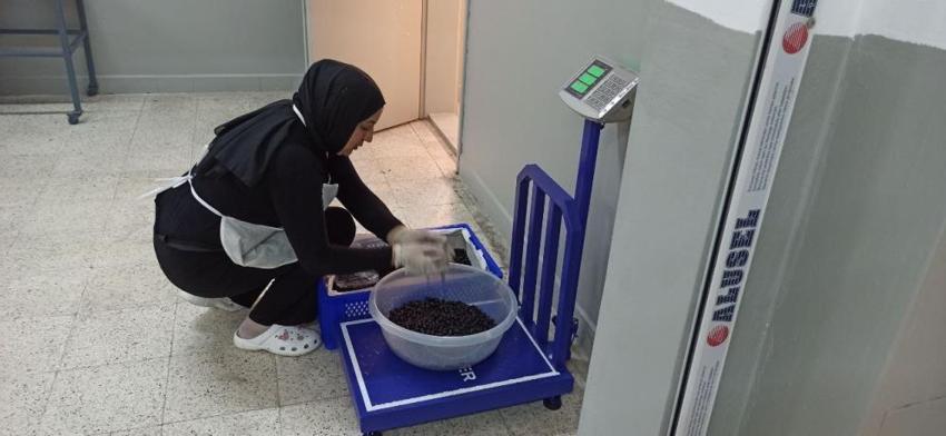 İstanbul'dan memleketi Zonguldak'a taşınan vatandaş girişimci oldu! Aronya meyvesinden doğal meyve suyu üretimine başladı