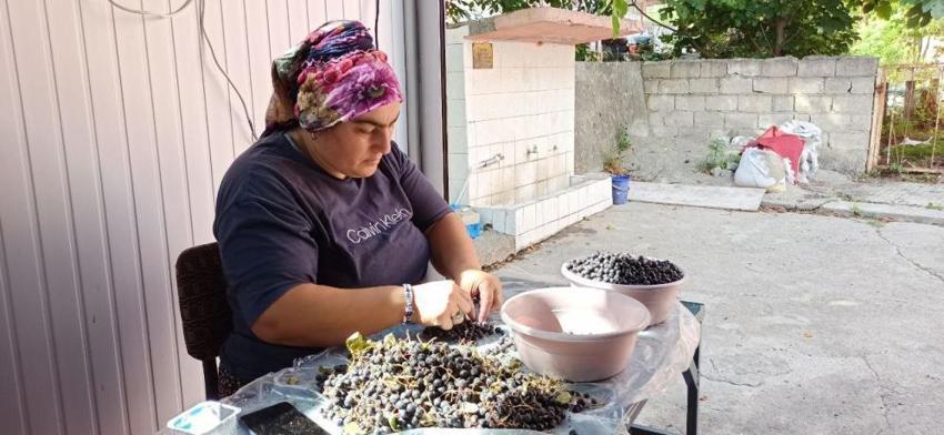 İstanbul'dan memleketi Zonguldak'a taşınan vatandaş girişimci oldu! Aronya meyvesinden doğal meyve suyu üretimine başladı