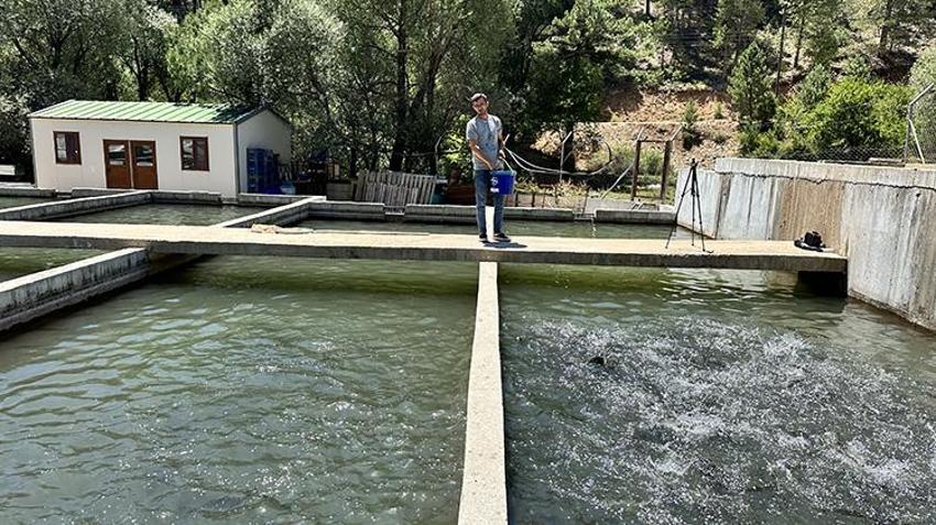 Isparta'nın saklı cenneti: Aksu Çayı'ndan dünya sofralarına Türk somonu!