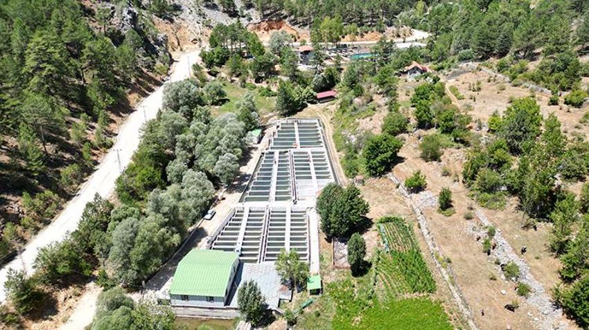 Isparta'nın saklı cenneti: Aksu Çayı'ndan dünya sofralarına Türk somonu!