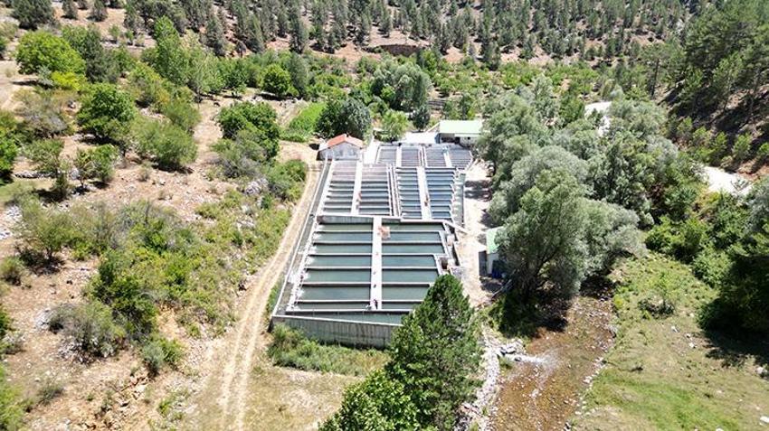 Isparta'nın saklı cenneti: Aksu Çayı'ndan dünya sofralarına Türk somonu!