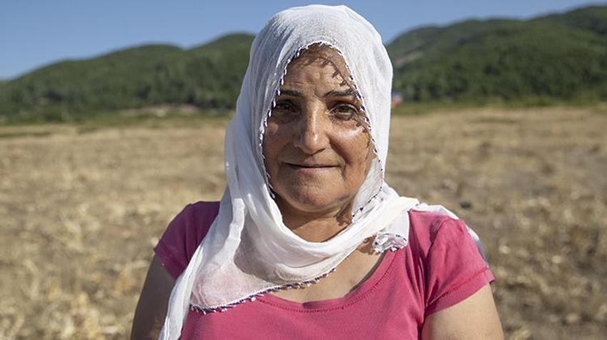 Tunceli'de köylüler dikenli bitkiden para kazanıyor! Kilosunu 5 bin TL'den satıyorlar