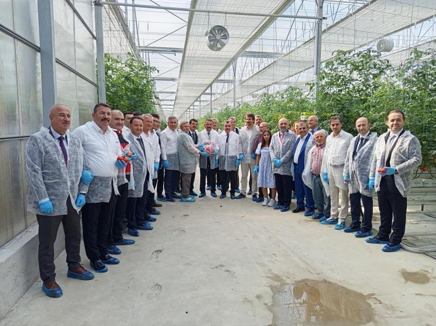 OSB'de ilk hasat! Zonguldak'ta gerçekleştirildi: Bölgede ilk kez yapılıyor