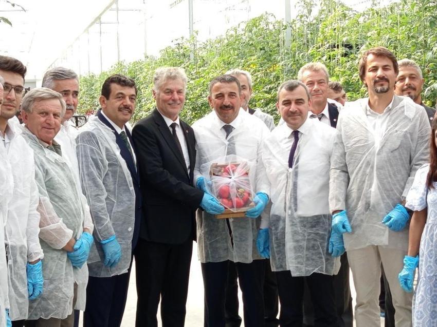 OSB'de ilk hasat! Zonguldak'ta gerçekleştirildi: Bölgede ilk kez yapılıyor