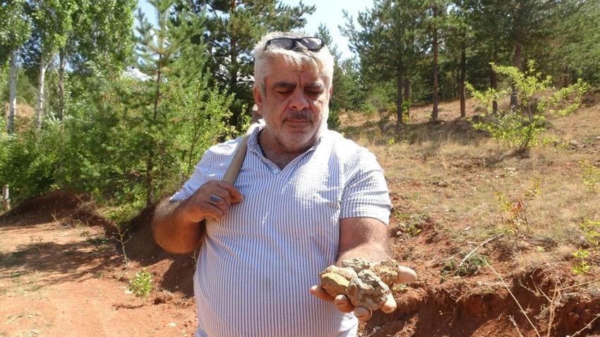 Yıllarca 'çıra' sandılar, meğer çok değerliymiş! Topraktan çıkan gizli hazine: Gramı altınla yarışıyor!
