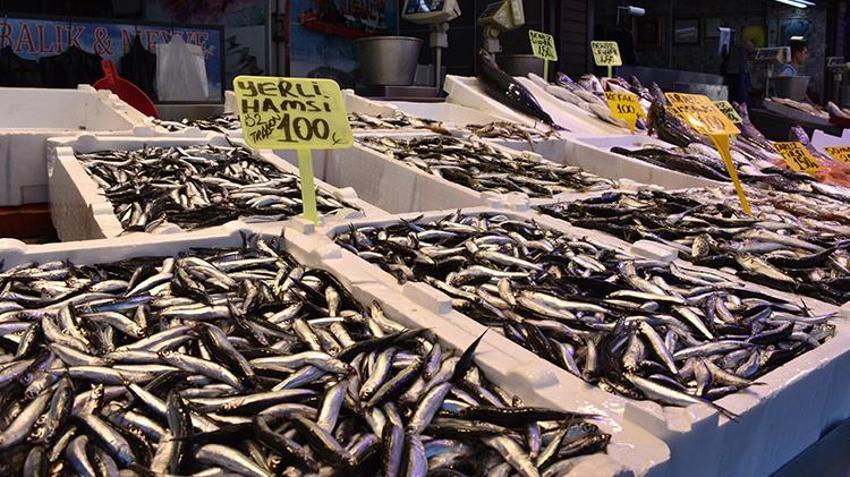 Trabzon'da hamsi tezgaha erken indi! Kilosu 100 liradan satılıyor