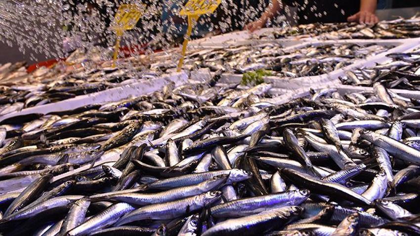 Trabzon'da hamsi tezgaha erken indi! Kilosu 100 liradan satılıyor
