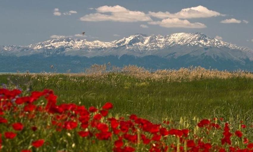 Konya’nın saklı kalmış cenneti! Herkes buraya akın ediyor