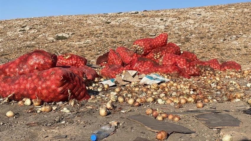 Tonlarcası yolda bulundu! Herkes başına üşüştü: Nedenini düşünmeden alıp götürdüler