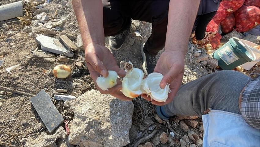 Tonlarcası yolda bulundu! Herkes başına üşüştü: Nedenini düşünmeden alıp götürdüler