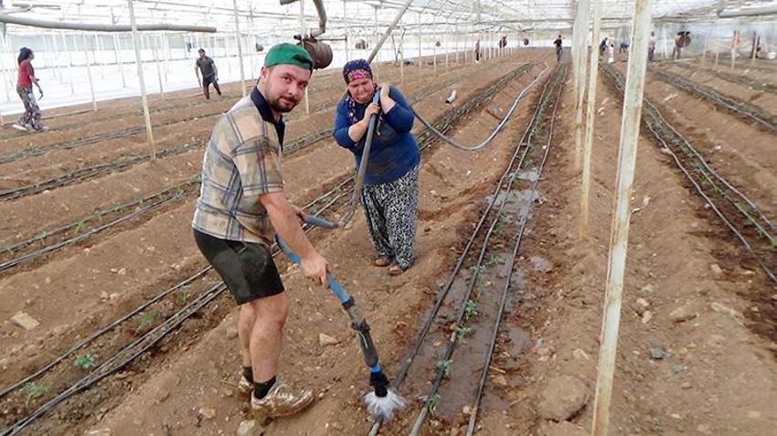 Antalya'da üretim sezonu başladı! 52 bin dönüm alanda 25 bin fide dikilecek