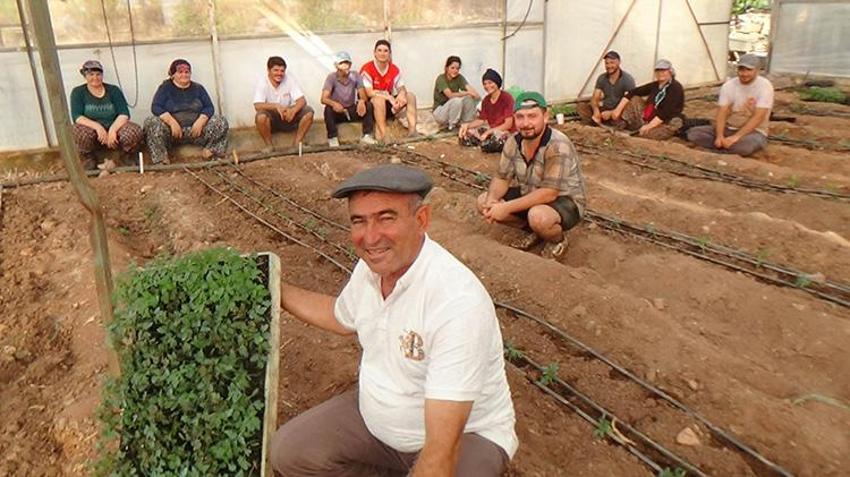 Antalya'da üretim sezonu başladı! 52 bin dönüm alanda 25 bin fide dikilecek
