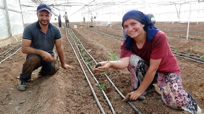 Antalya'da üretim sezonu başladı! 52 bin dönüm alanda 25 bin fide dikilecek