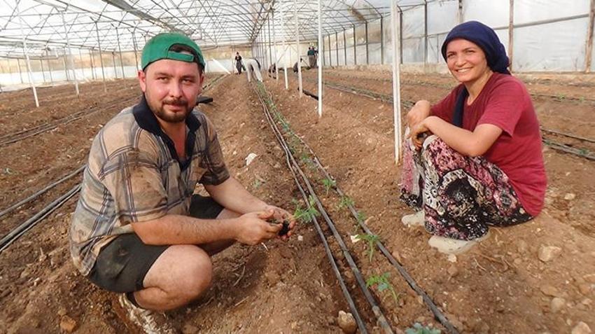 Antalya'da üretim sezonu başladı! 52 bin dönüm alanda 25 bin fide dikilecek
