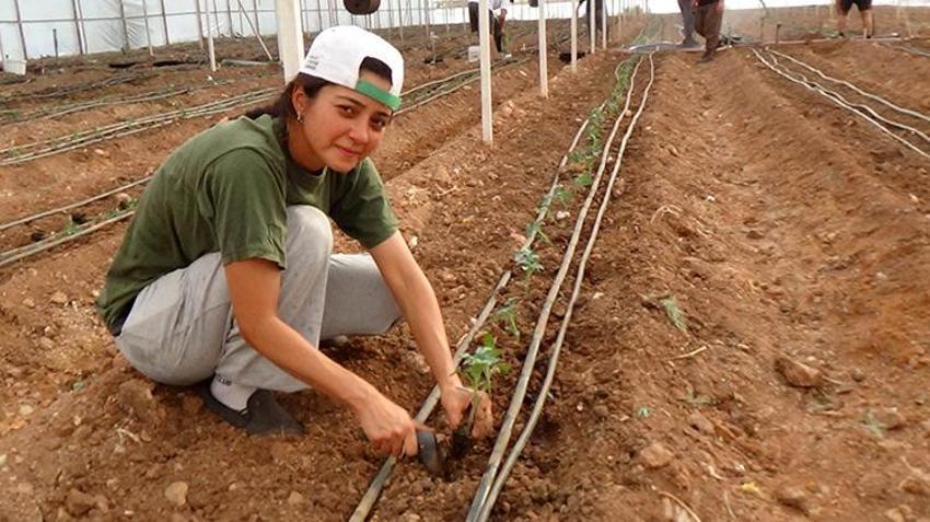 Antalya'da üretim sezonu başladı! 52 bin dönüm alanda 25 bin fide dikilecek