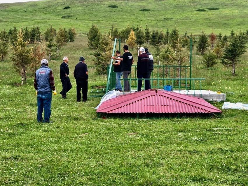 Tokat'ta halk girişimi sonuç verdi: 700 tanesi taşındı! Yaşam alanı oluştu