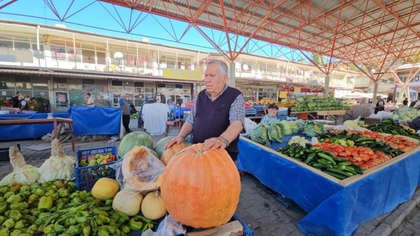 Malatya bu fiyatı sevdi: Üretici kilosunu direkt 20 liraya satıyor