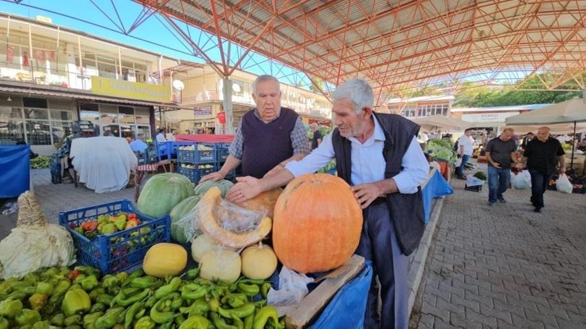 Malatya bu fiyatı sevdi: Üretici kilosunu direkt 20 liraya satıyor