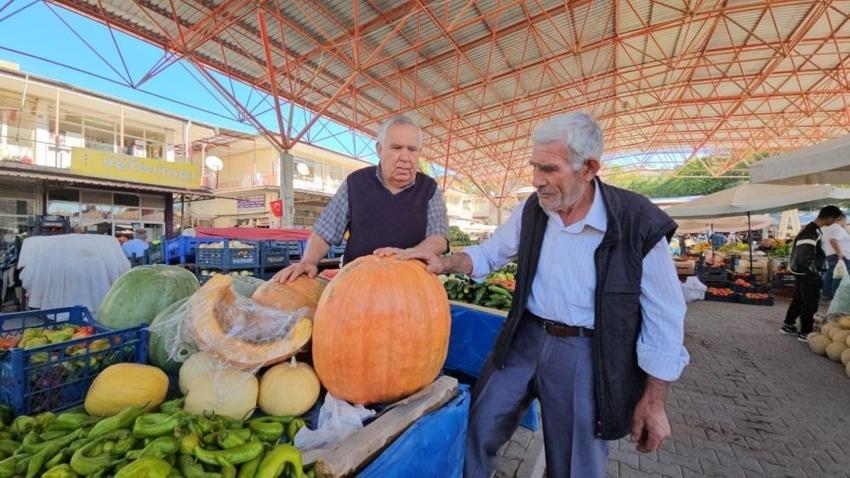 Malatya bu fiyatı sevdi: Üretici kilosunu direkt 20 liraya satıyor