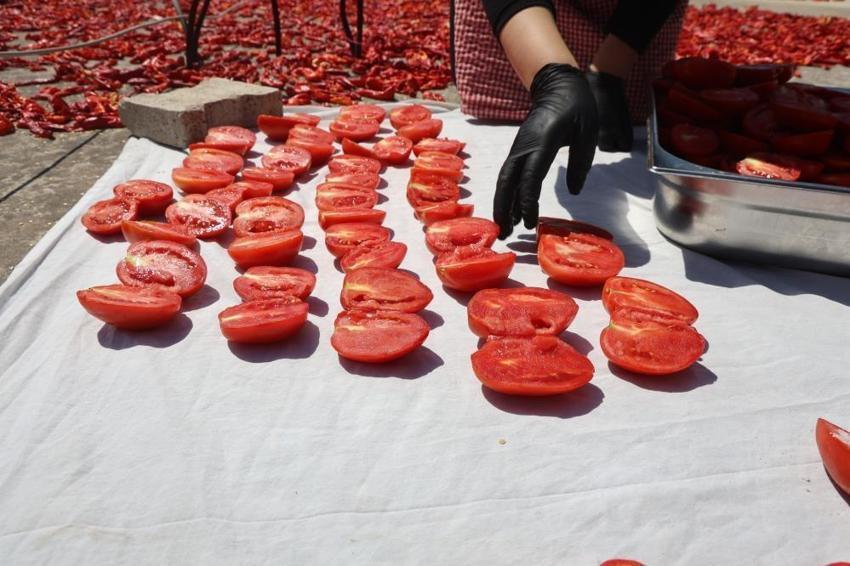 Depremzede kadınlardan örnek girişim: Kavanozu 250 TL'den satılıyor, sofralara lezzet katıyor