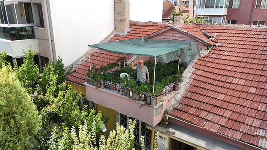 Eskişehir'in göbeğinde kendi cennetini yarattı! Günde 8 saatini 18 metrekarede geçiriyor