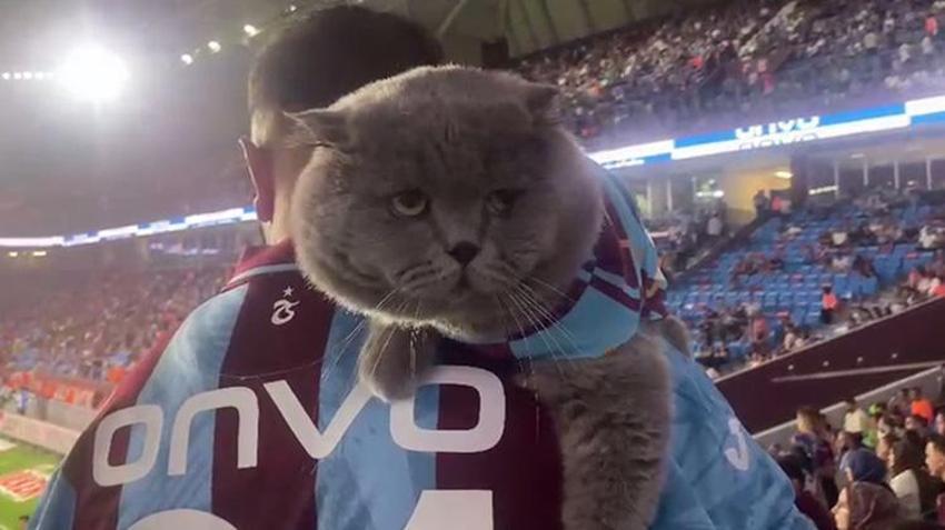 Trabzonsporlu 'Tom' maçları kaçırmıyor! Özel izinle stada girdi