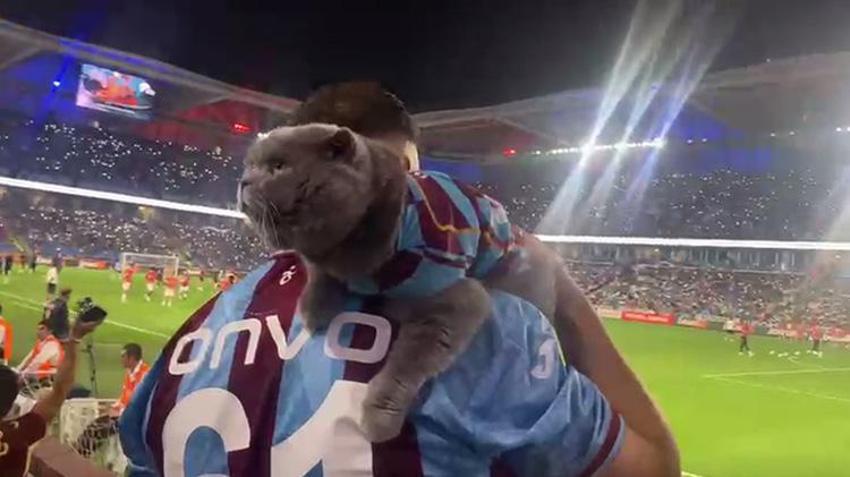 Trabzonsporlu 'Tom' maçları kaçırmıyor! Özel izinle stada girdi