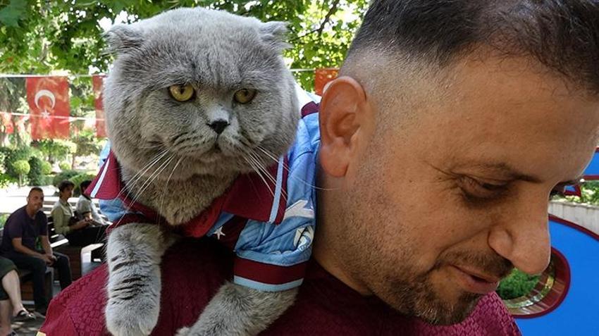 Trabzonsporlu 'Tom' maçları kaçırmıyor! Özel izinle stada girdi