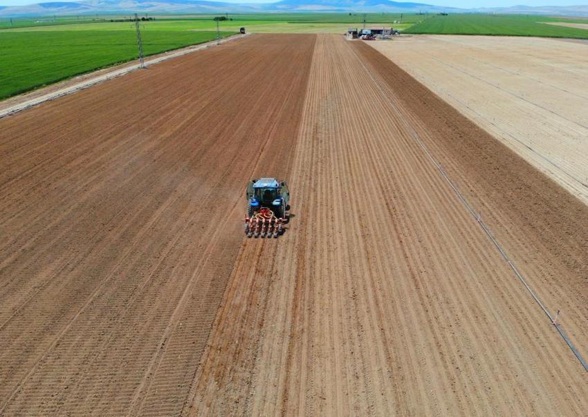 Konya Ovası’nda hasat tamamlandı! Çiftçilere çok önemli hububat uyarısı: "Su tasarruflu ürün ekin"