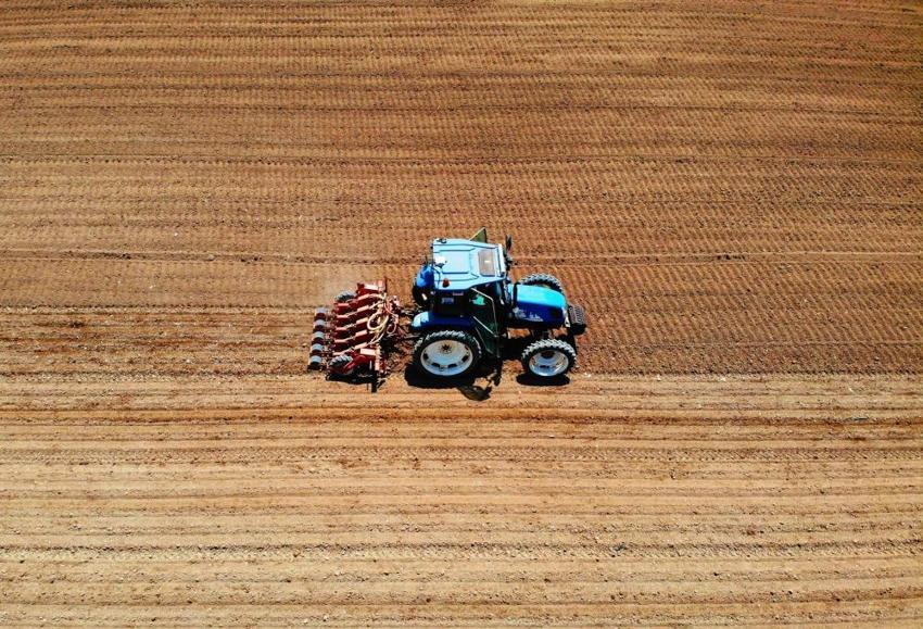 Konya Ovası’nda hasat tamamlandı! Çiftçilere çok önemli hububat uyarısı: "Su tasarruflu ürün ekin"