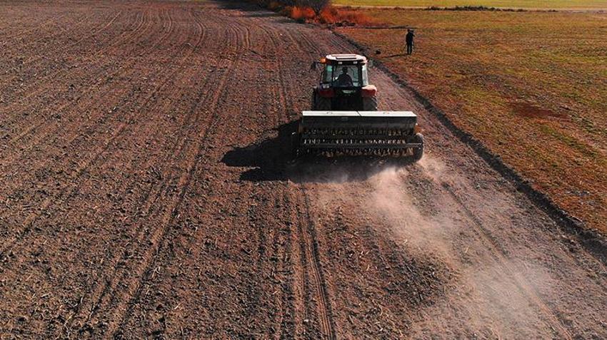 Konya Ovası’nda hasat tamamlandı! Çiftçilere çok önemli hububat uyarısı: "Su tasarruflu ürün ekin"