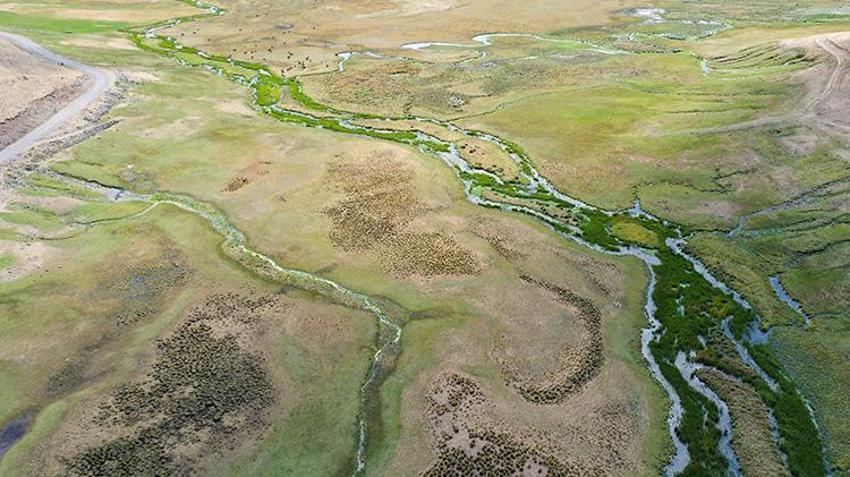 Iğdır'da gizli bir cennet keşfedildi: Göç yolu üzerinde, 35 kuş türüne ev sahipliği yapıyor!