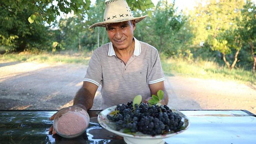 Diyarbakırlı emekli vatandaş bir zamanlar şifa niyetine bulamadığı meyvenin üreticisi oldu! Eşi öldükten sonra içinde ukde kaldı