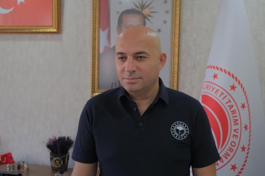 Kırklareli'nde doğal afet mağdurlarına müjde: Don zararı için dev ödeme yapılacak!