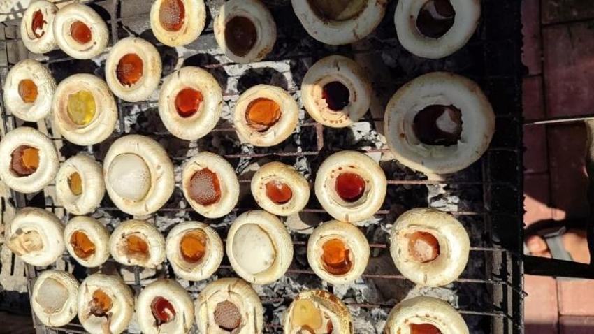 Konya’da yılda 45 ton üretilecek! İlçeye yeni istihdam kapısı