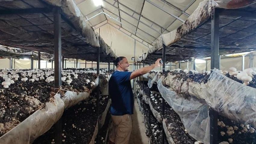 Konya’da yılda 45 ton üretilecek! İlçeye yeni istihdam kapısı