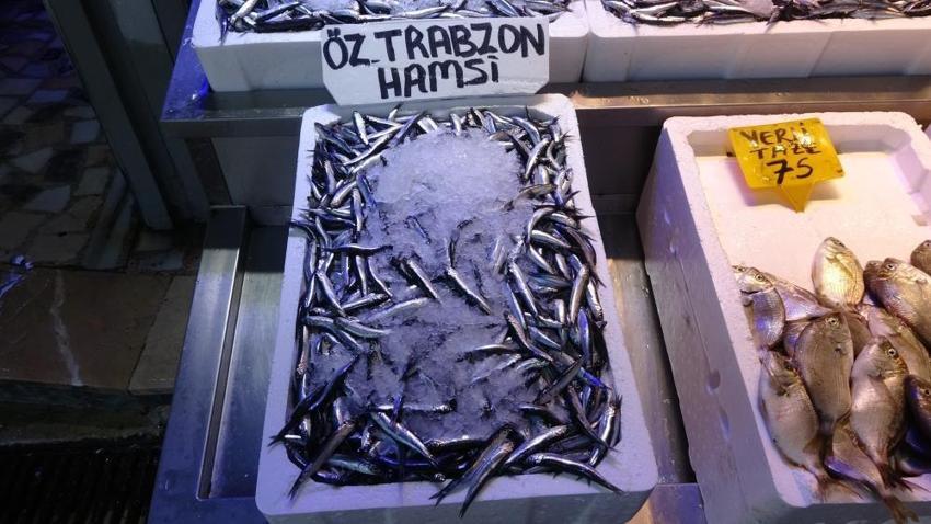 2 ay sonra hamsi avı bitebilir! Trabzonlu balıkçıların erken gelen hamside endişesi var
